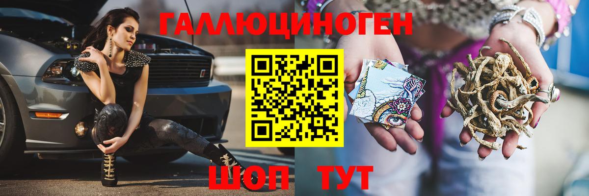 Псилоцибиновые грибы Psilocybine cubensis  Вход с VPN  Кингисепп 